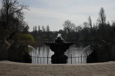 DSC_6881 (Large).JPG